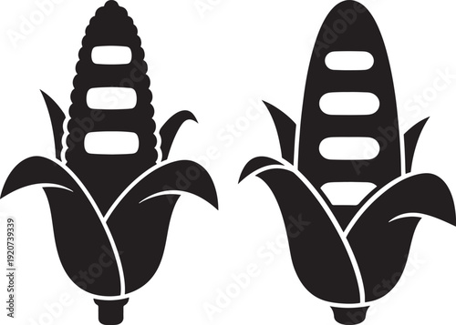 Corn on the cob illustration black and white