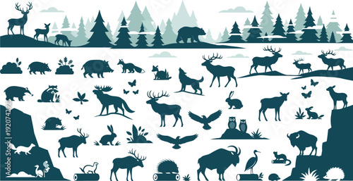 Collection of various forest animals and wildlife in natural settings and habitats illustrated