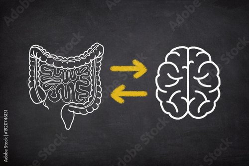 Canvas Print Gut Brain Connection Concept