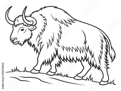 Majestic bison standing proudly in natural habitat with shaggy fur and curved horns