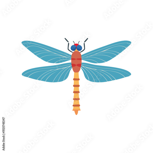 A colorful dragonfly with blue wings. Its intricate body and wingspan create a stunning visual, showcasing its delicate beauty