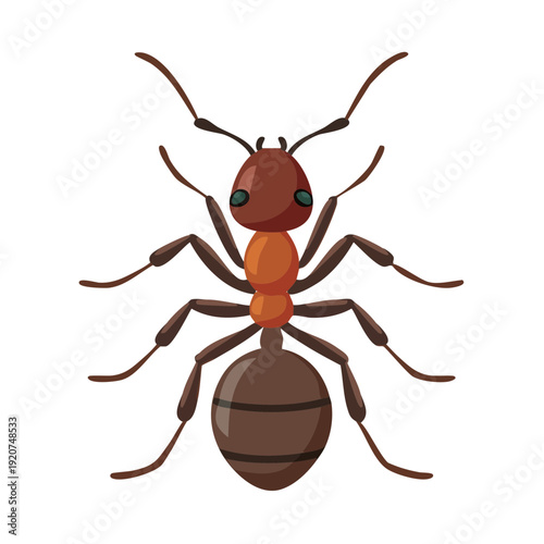 A single ant illustration with a detailed and colorful appearance