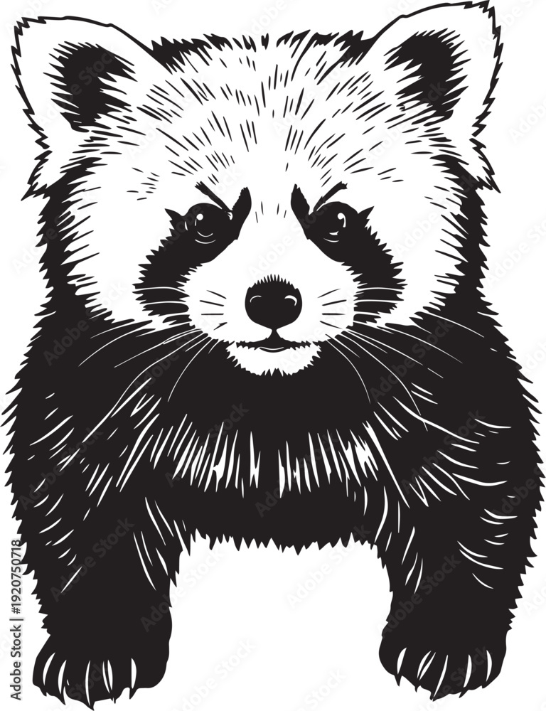 Obraz premium The Red Panda. Hand drawn vector illustration 