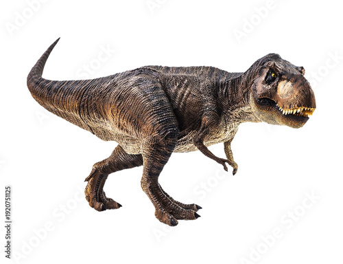 Realistic Tyrannosaurus Rex Walking Side View