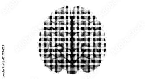 Anatomy of the Human Brain: An intricately detailed rendering of the human brain, showcasing its complex structure and unique design. Revealing the core of human thought and processing.