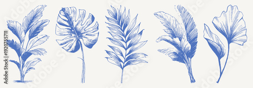 Tropical leaves botanical jungle vintage hand drawn. Crayon sketch drawing line art set with banana, monstera and palm foliage shapes. Retro decorative summer plant illustrations.