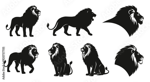 Lion Silhouette Vector Collection