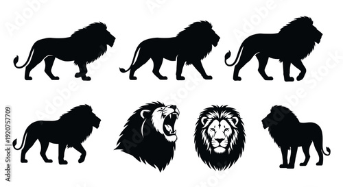 Lion Silhouette Vector Collection