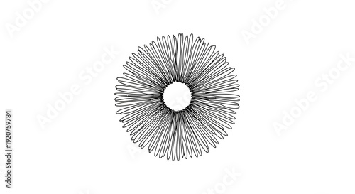 Abstract Radial Line Pattern Reminiscent of Sunburst or Dandelion, Isolated White Background