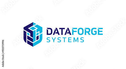 DataForge Systems corporate identity logo design element.