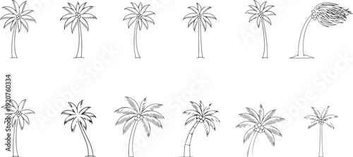 Elegant sketch drawings of various palm trees, capturing their natural beauty and diversity. Each tree is uniquely rendered, offering a collection of botanical artistry