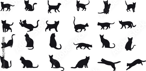 Cat Silhouettes Vector Illustration, perfect for Halloween, cat lovers. Features various cat poses, paw prints. Ideal for pet, animal, feline, domestic, house cat themes.