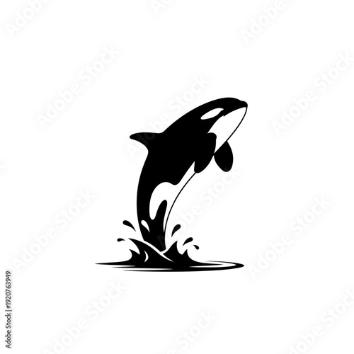 Orca whale leaping out of the ocean water in a black and white illustration.