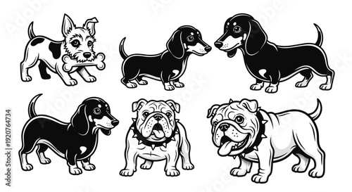 Collection of various dog breeds in black and white, including a terrier, dachshunds, and bulldogs, showcasing their distinct characteristics.