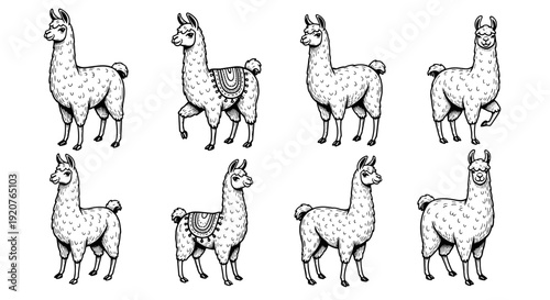 Collection of Eight Stylized Llama Illustrations in Black and White.