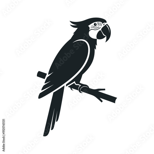 Black and white illustration of a parrot perched on a branch, isolated.
