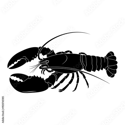 Black and white illustration of a lobster isolated on white background.
