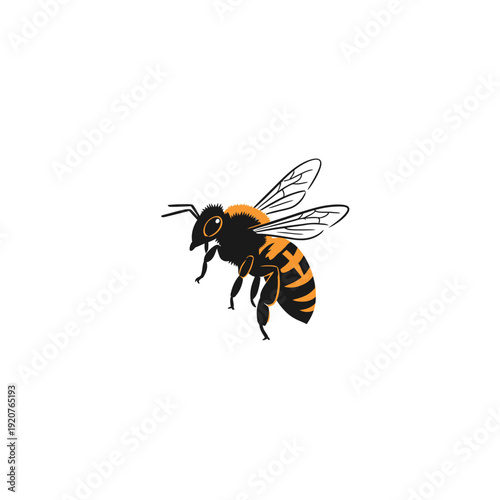 Detailed illustration of a flying honeybee on a clean white background.
