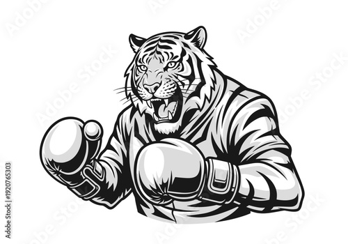 Fierce Tiger Boxer Ready for Combat.
