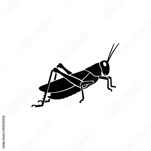 Black and white illustration of a grasshopper insect on a white background.