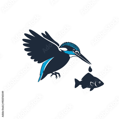 Kingfisher bird illustration with fish and water drop, vector design.