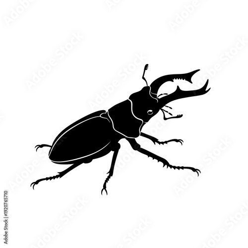 Silhouette of a stag beetle isolated on a white background, insect illustration.