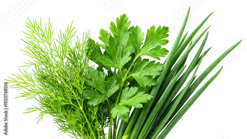 Foto Fresh Green Culinary Herbs Dill Parsley and Green Onions