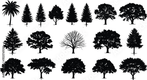 Tree silhouette vector illustration, diverse forest icons with rounded, conical, and leafless forms representing nature and landscape themes - flat vector illustration