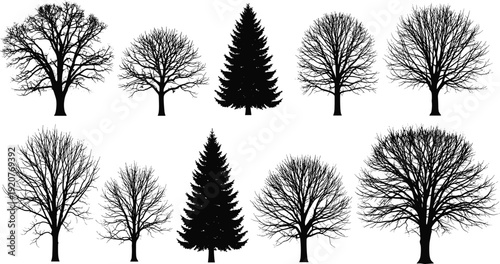 Tree silhouettes, diverse forest icons, botanical vegetation artwork, conifer deciduous figures, nature landscape design elements, branching foliage graphics - flat vector illustration