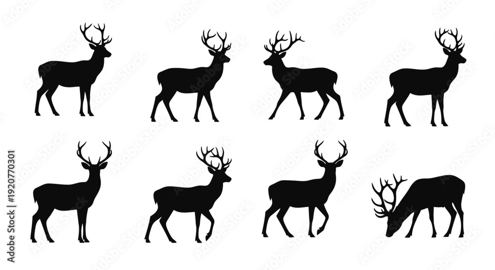 Fototapeta premium Deer Silhouette Vector Collection