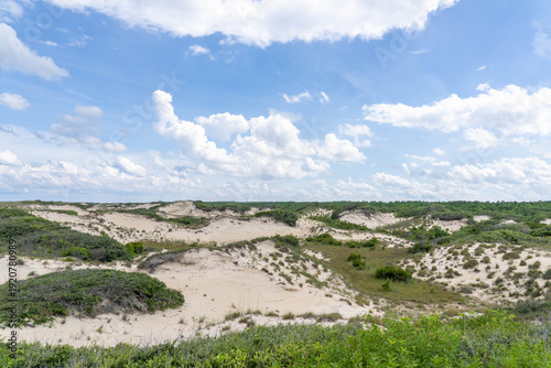 Obraz na płótnie Sand Dunes in False Cape State Park With Maritime Forest in Virginia Beach Virgi