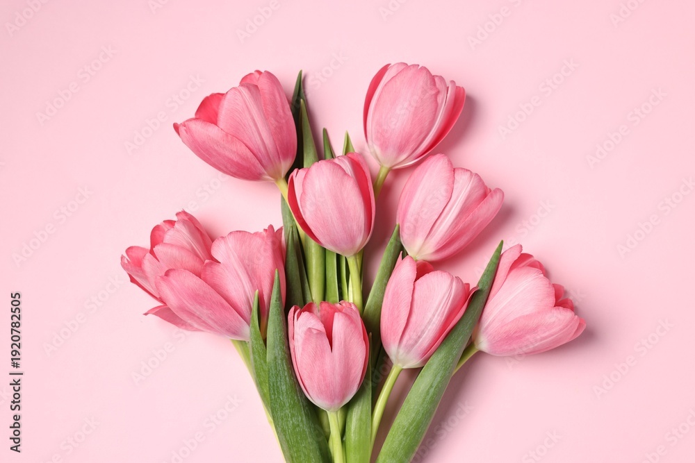 Obraz premium Bouquet of tulips on pink background, top view