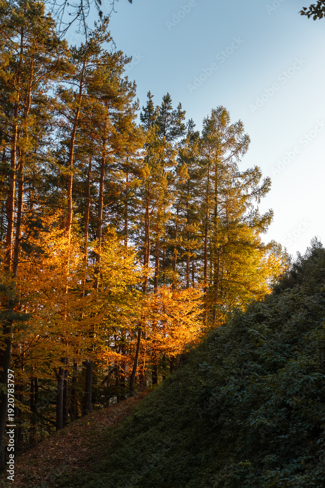Obraz premium Autumn sunset in the Polish mountains in the evening