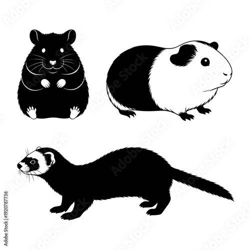 Black and White Animals Illustration Set.