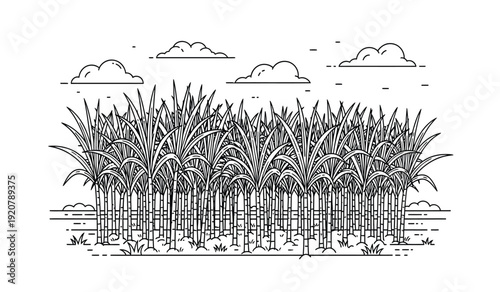 Black and white illustration of a palm tree forest with clouds in the sky