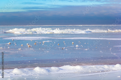 Winter coastal landscape of the frozen Baltic sea