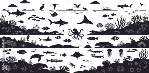 Black and white illustration of various ocean creatures in a coral reef ecosystem underwater scene