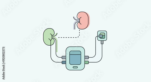 Illustration of a kidney transplant on World Kidney Day, highlighting a healthy kidney, dialysis machine, and medical device.