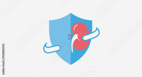 World Kidney Day illustration featuring a shield protecting a kidney on World health awareness day