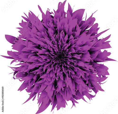 Vibrant purple abstract flower detailed fractal petal design isolated on white background for graphic elements