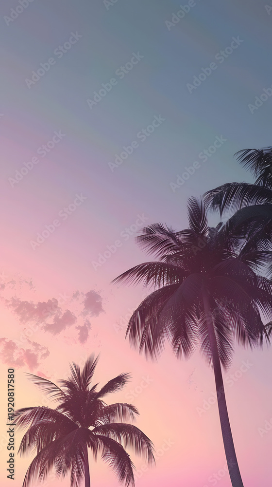 Obraz premium A Clean look tropical scene with a few palm trees
