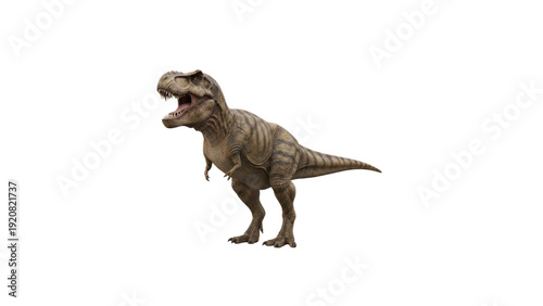 Full Body Tyrannosaurus Rex Dinosaur Isolated on White Background