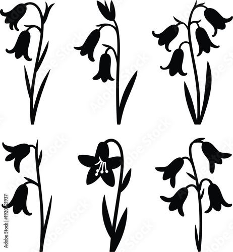 Collection of bell flower silhouettes isolated on white background, black floral vector illustrations in various blooming botanical shapes