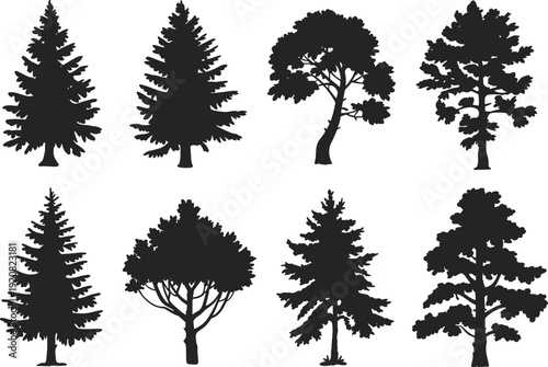 Collection of pine and deciduous tree silhouettes isolated on white background, black forest vector illustrations in detailed natural shapes for landscape design