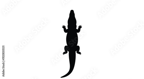 Black silhouette of an alligator on a white background silhouette