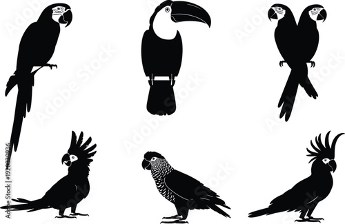 Parrot silhouettes set flat vector illustration tropical birds macaw toucan cockatoo wildlife animal design elements icon branding print web poster