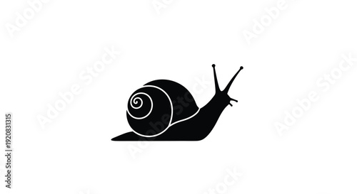 A striking black snail graphic design minimalist illustration silhouette