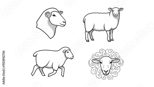 Collection of Black and White Sheep Line Art Icons