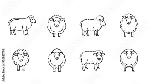 Set of Outline Sheep Icons Livestock Farm Animals and Wool Symbols
