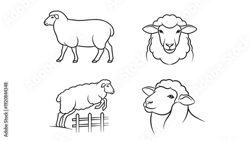 Sheep Outline Vector Icons Set. Various Poses of Domestic Animal. Line Art Lamb Drawings